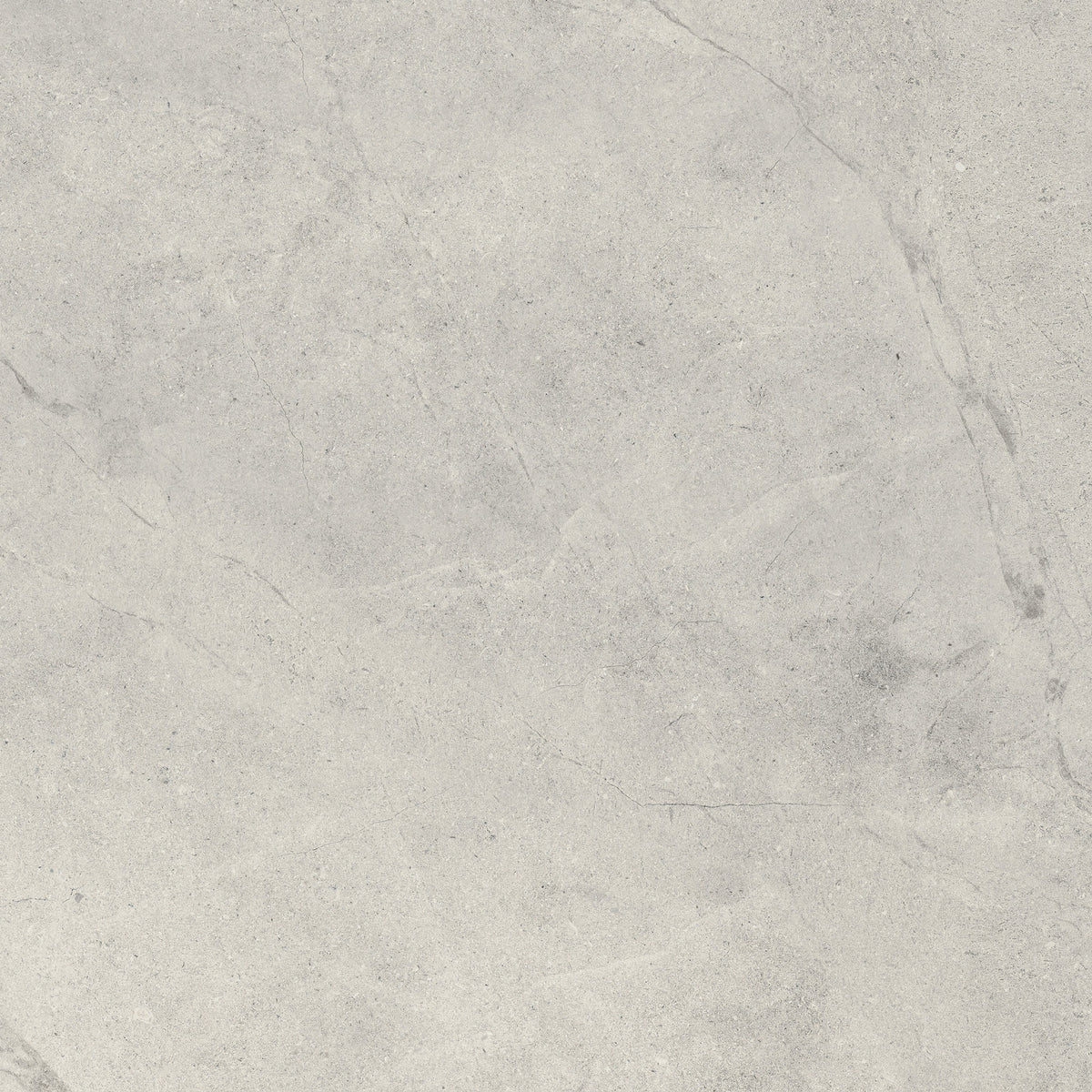 Darlton rhino original square porcelain tile face