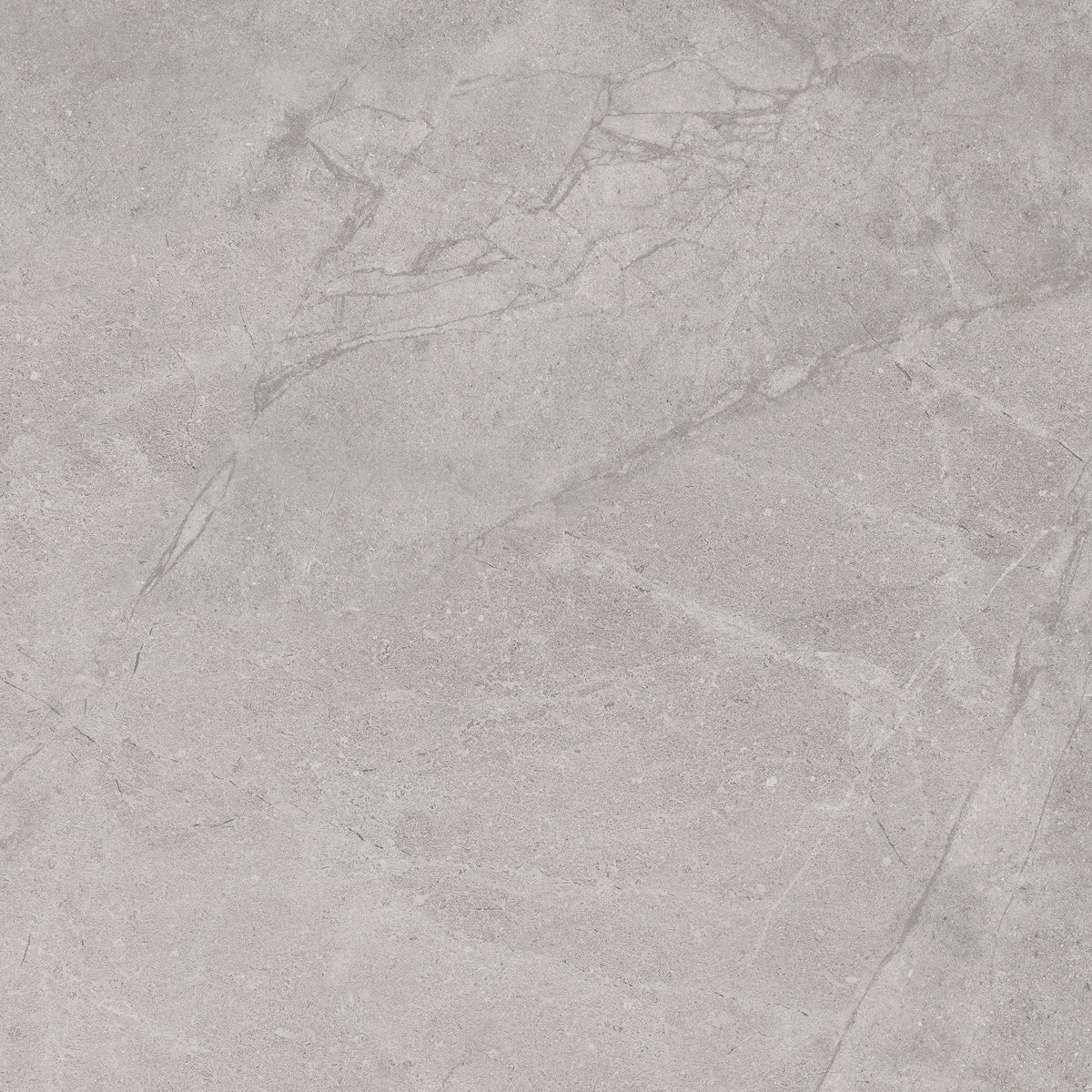 Darlton shell original square porcelain tile face