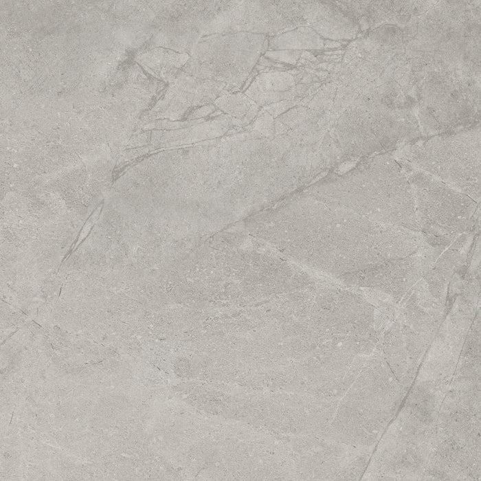 Darlton shell original square porcelain tile face
