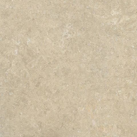Fossil fawn face