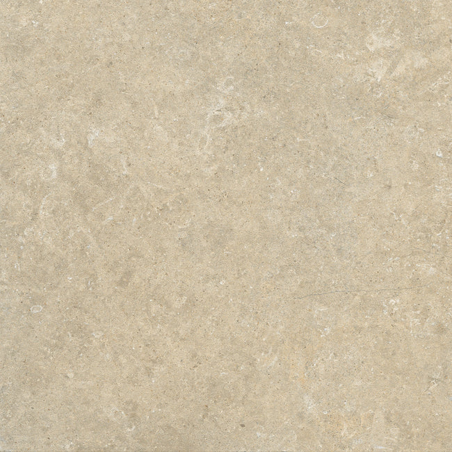 Fossil — Fawn