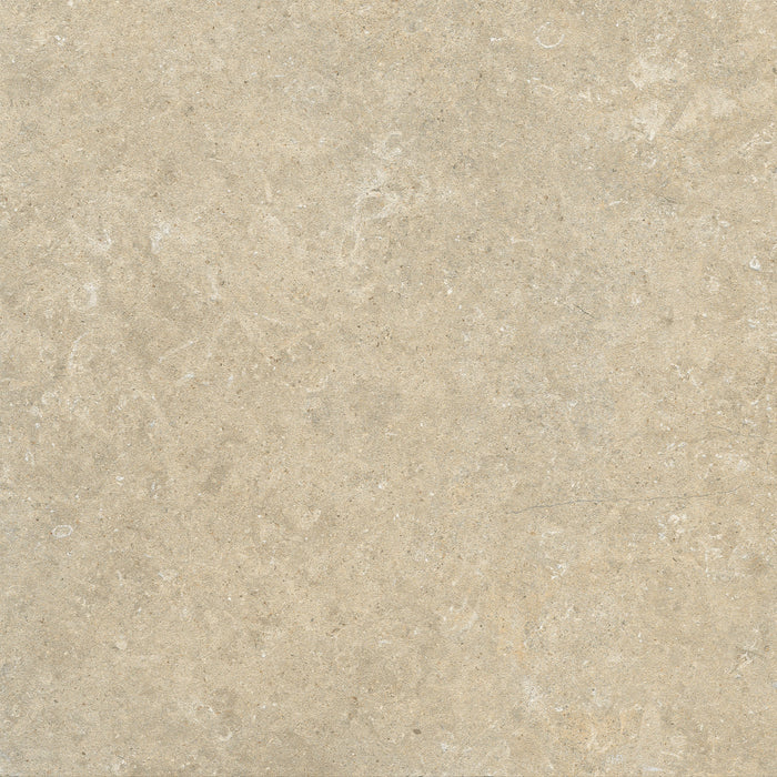 Fossil fawn face