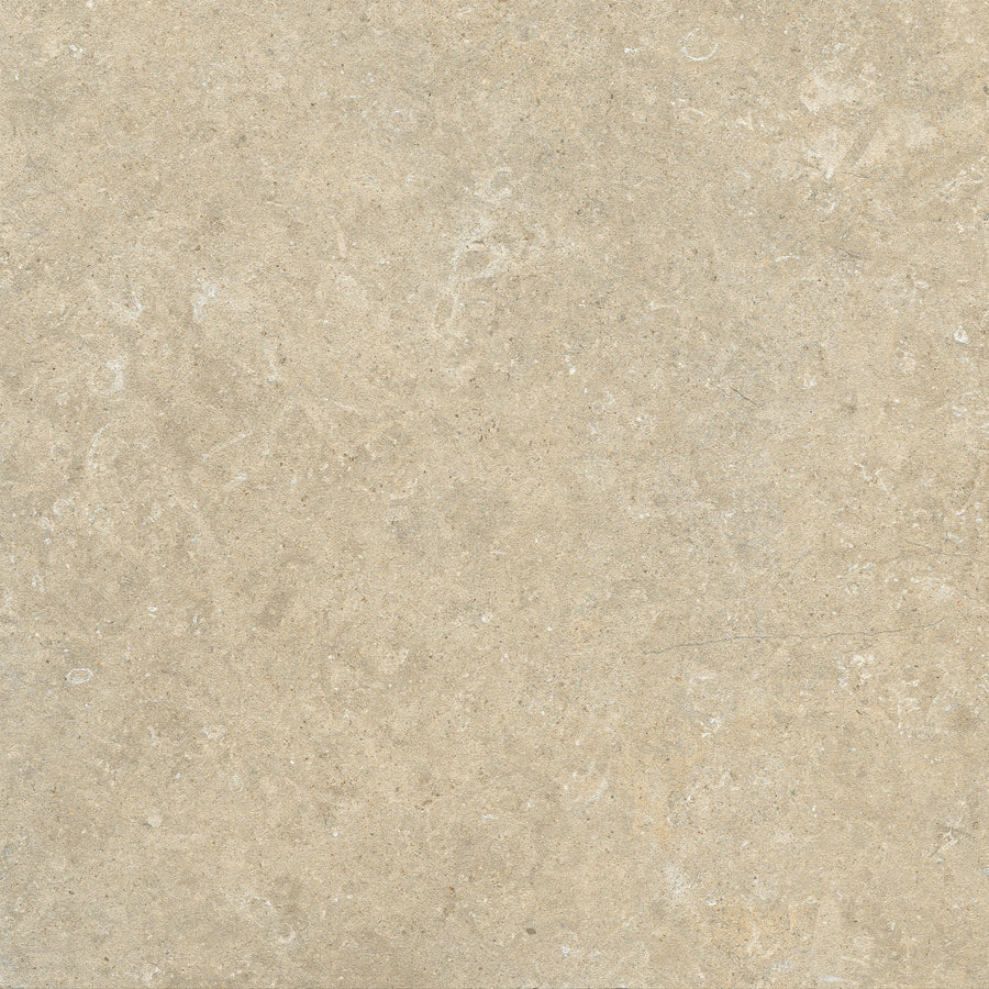 Fossil — Fawn