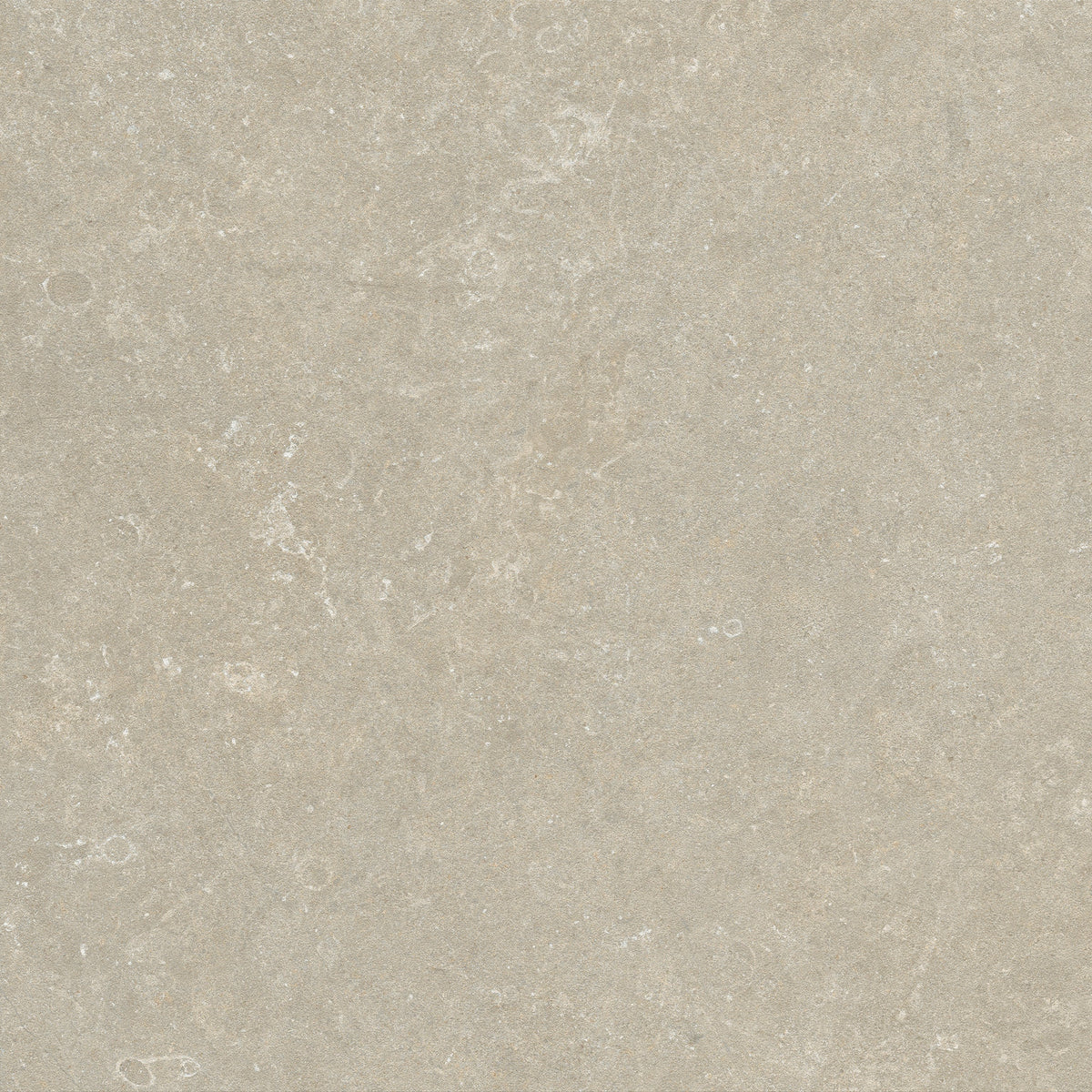 Fossil marl face