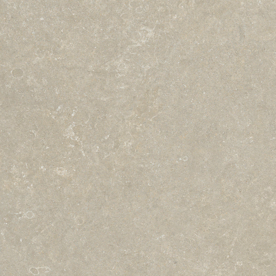 Fossil — Marl