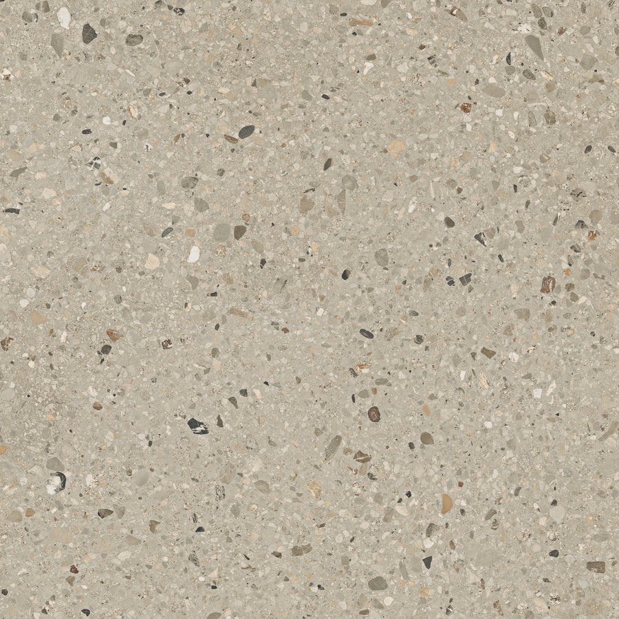 Fossil — Nimbus