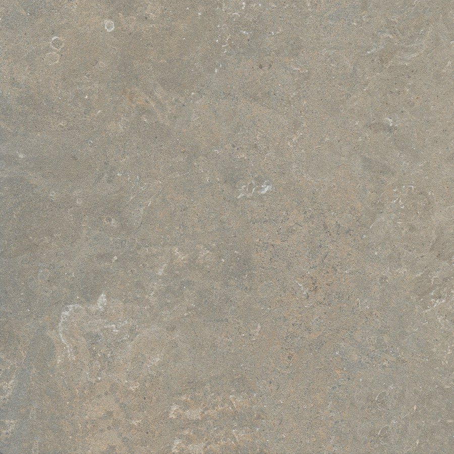Fossil — Relic