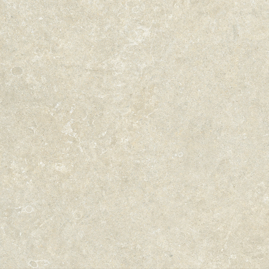 Fossil — Shale