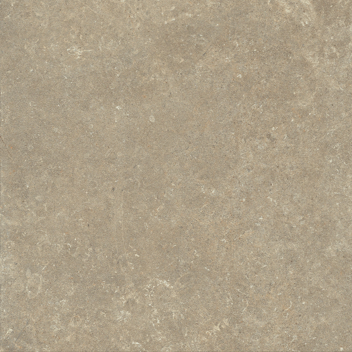 Fossil terrain face