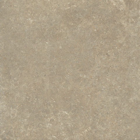 Fossil terrain face