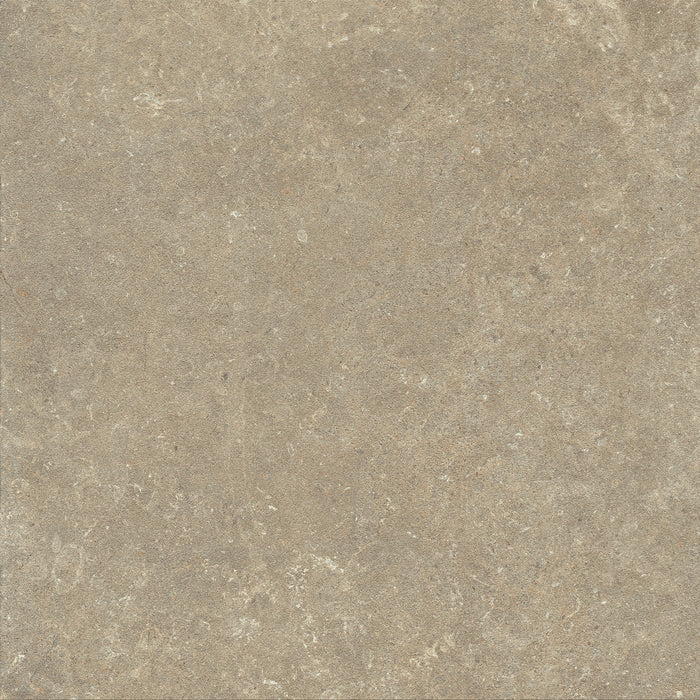 Fossil terrain face