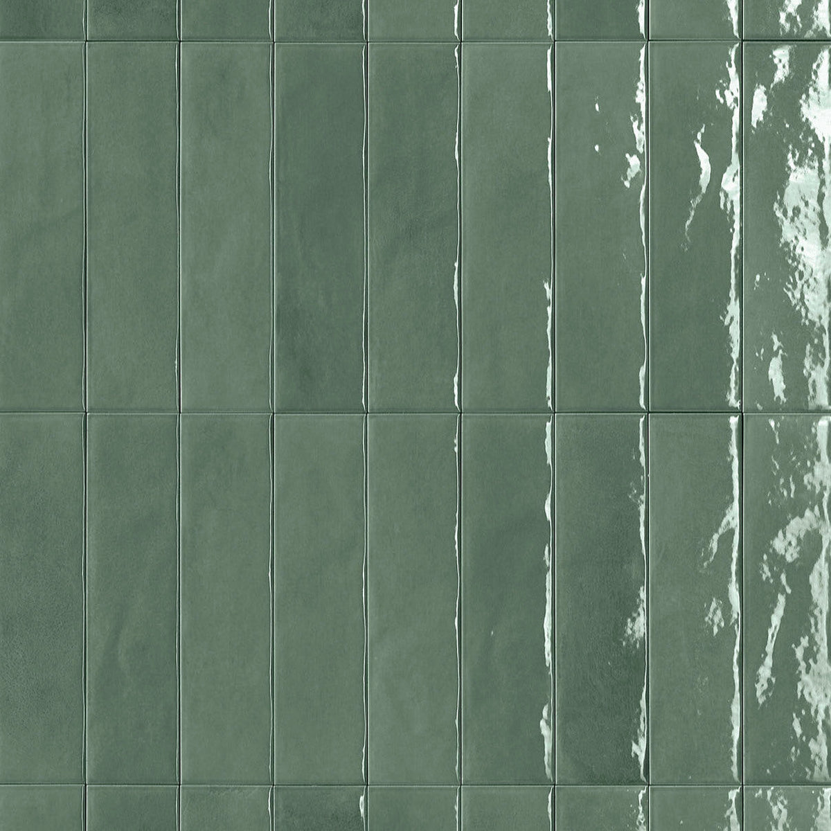Holiday Seaweed square tile face
