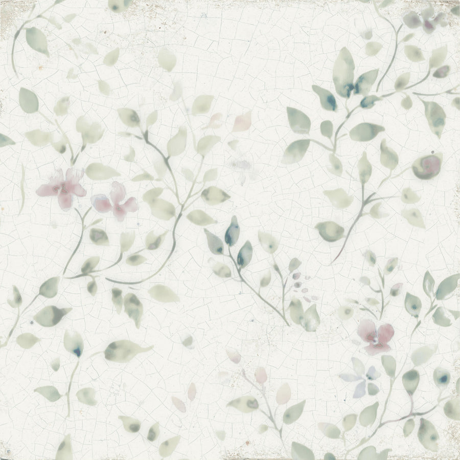 Jasmine — Elderflower