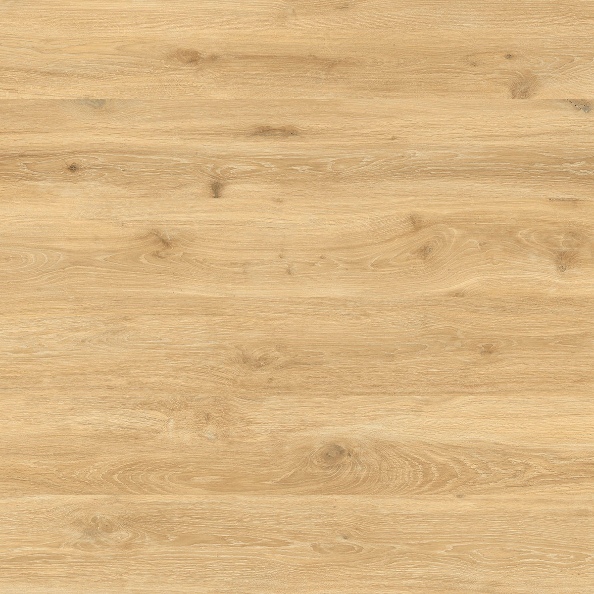 lodge acorn square face