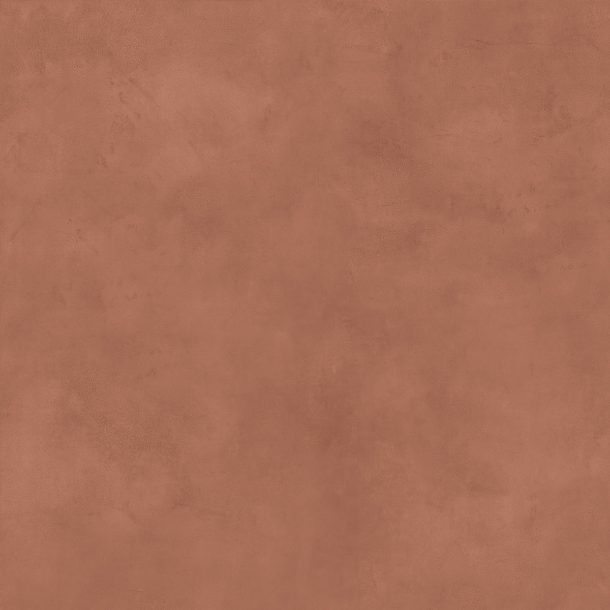Studio ember face